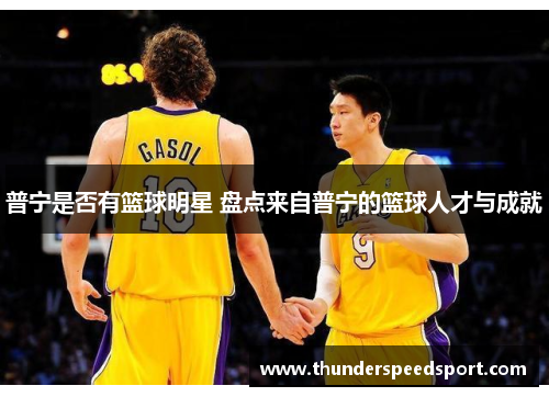 普宁是否有篮球明星 盘点来自普宁的篮球人才与成就