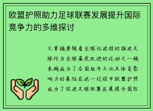 欧盟护照助力足球联赛发展提升国际竞争力的多维探讨